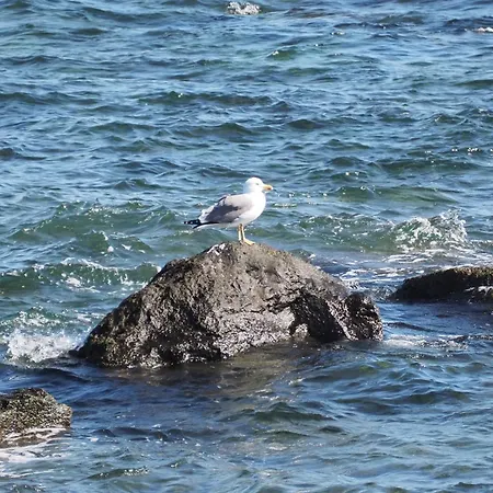 Casa Luz 143, Residencial El Pueblito