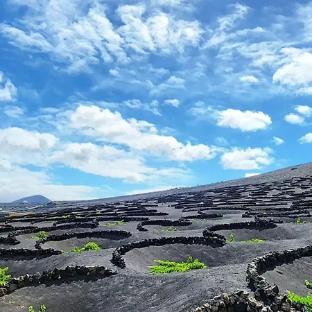Casa Luz 143, Residencial El Pueblito 公寓 普拉亚布兰卡